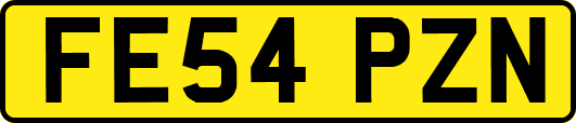 FE54PZN