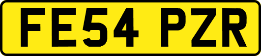 FE54PZR