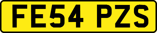 FE54PZS