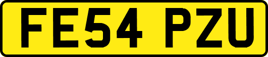 FE54PZU