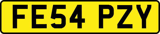 FE54PZY
