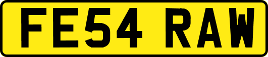 FE54RAW