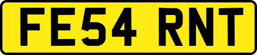 FE54RNT