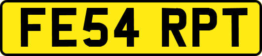 FE54RPT