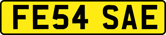 FE54SAE