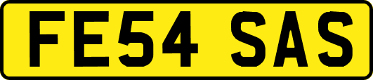 FE54SAS