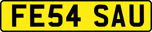 FE54SAU