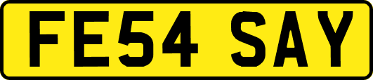 FE54SAY