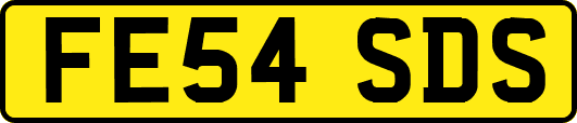 FE54SDS