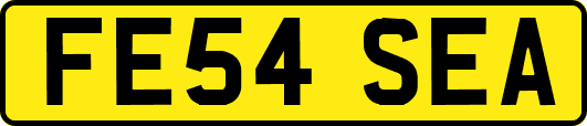 FE54SEA