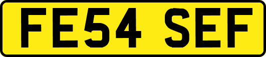 FE54SEF