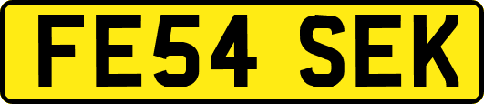 FE54SEK