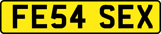 FE54SEX