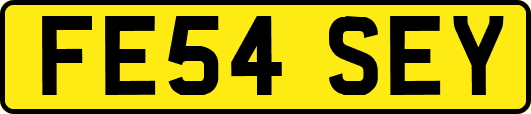 FE54SEY