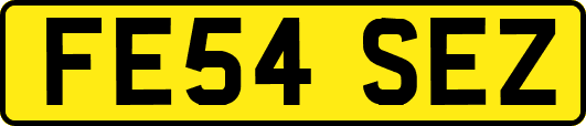FE54SEZ