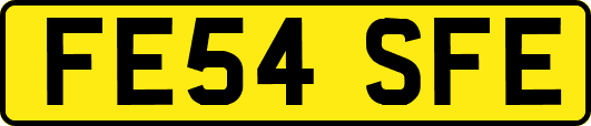 FE54SFE