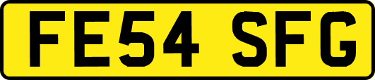 FE54SFG
