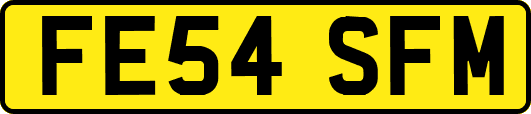 FE54SFM