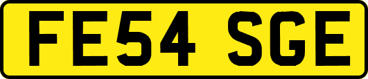 FE54SGE
