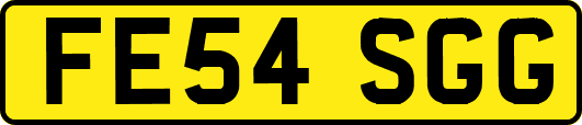 FE54SGG