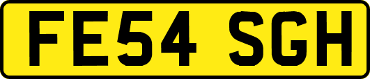 FE54SGH
