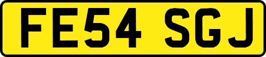 FE54SGJ