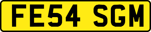 FE54SGM