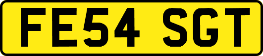 FE54SGT