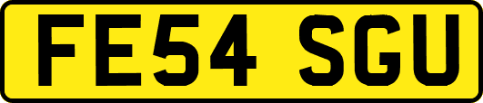 FE54SGU