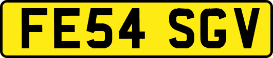 FE54SGV