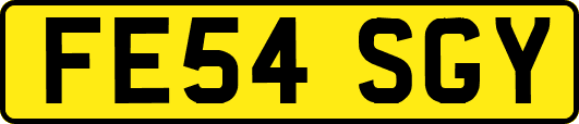 FE54SGY