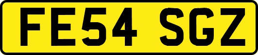 FE54SGZ
