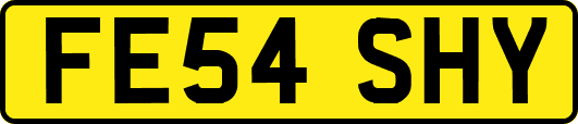 FE54SHY