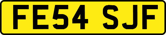 FE54SJF