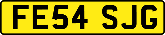 FE54SJG
