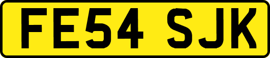 FE54SJK