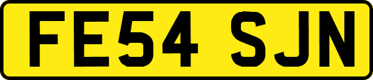 FE54SJN