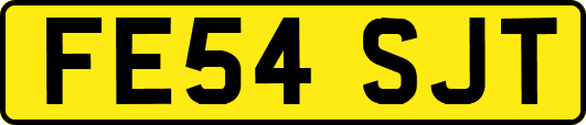 FE54SJT