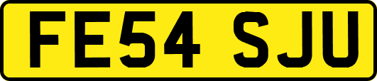 FE54SJU