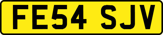 FE54SJV