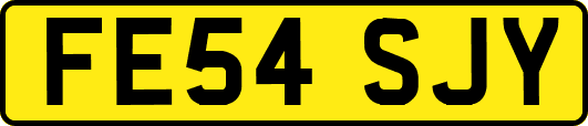FE54SJY