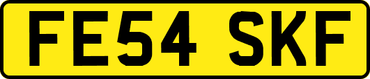 FE54SKF