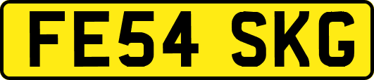FE54SKG