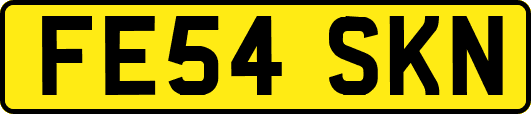 FE54SKN