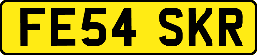FE54SKR