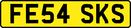 FE54SKS