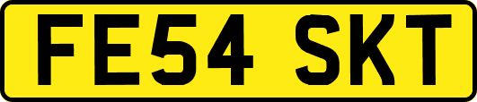 FE54SKT