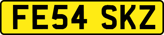 FE54SKZ