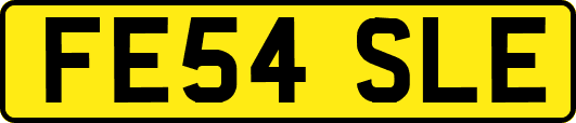 FE54SLE