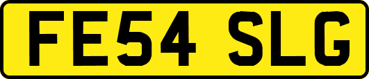 FE54SLG